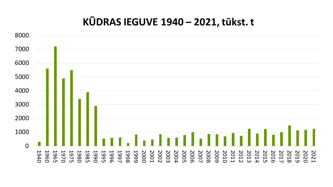 ieguve_1040_2021_lv.jpg (97,33 KB)